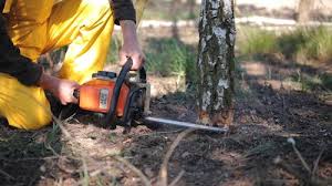 Lawn Grading and Leveling in Westover, AL